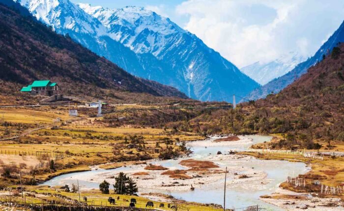 Chopta Valley