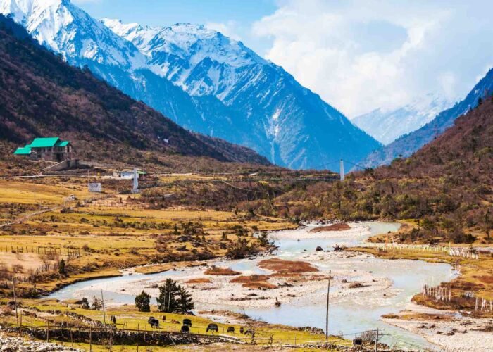 Chopta Valley