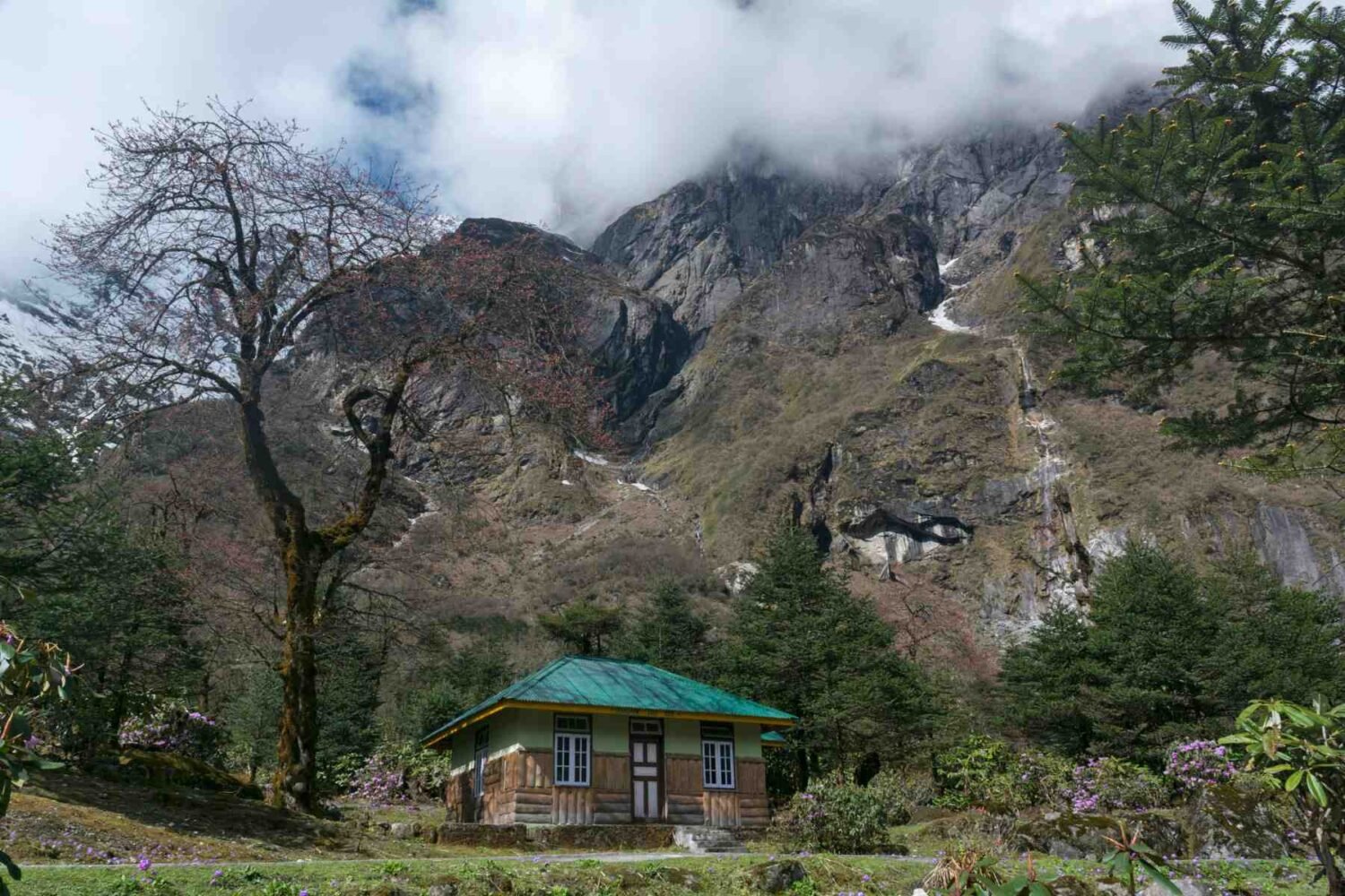 Yumthang Valley