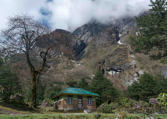 Yumthang Valley